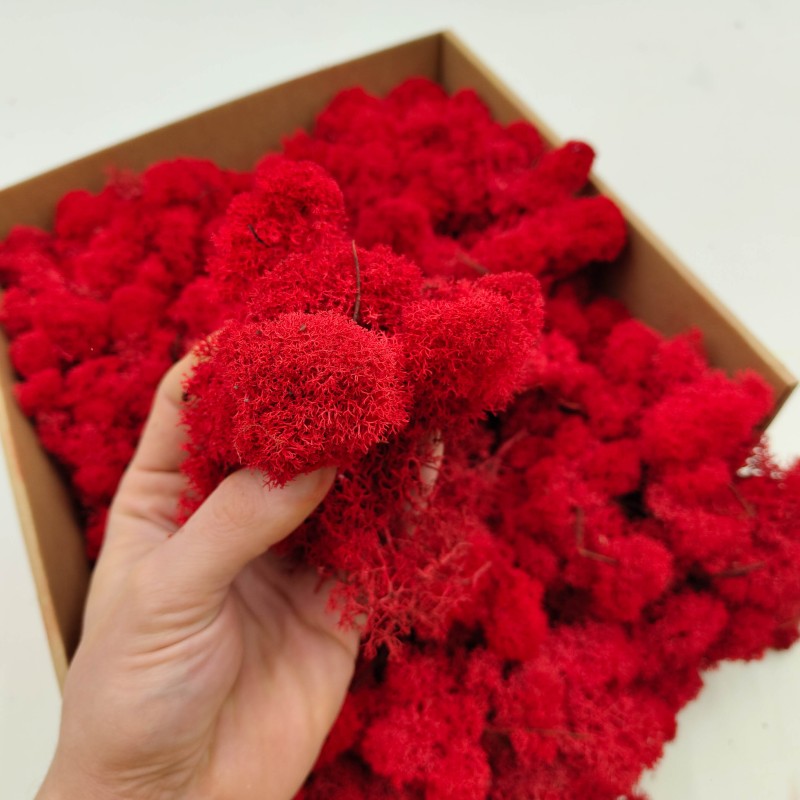 Czerwony zblizen.png