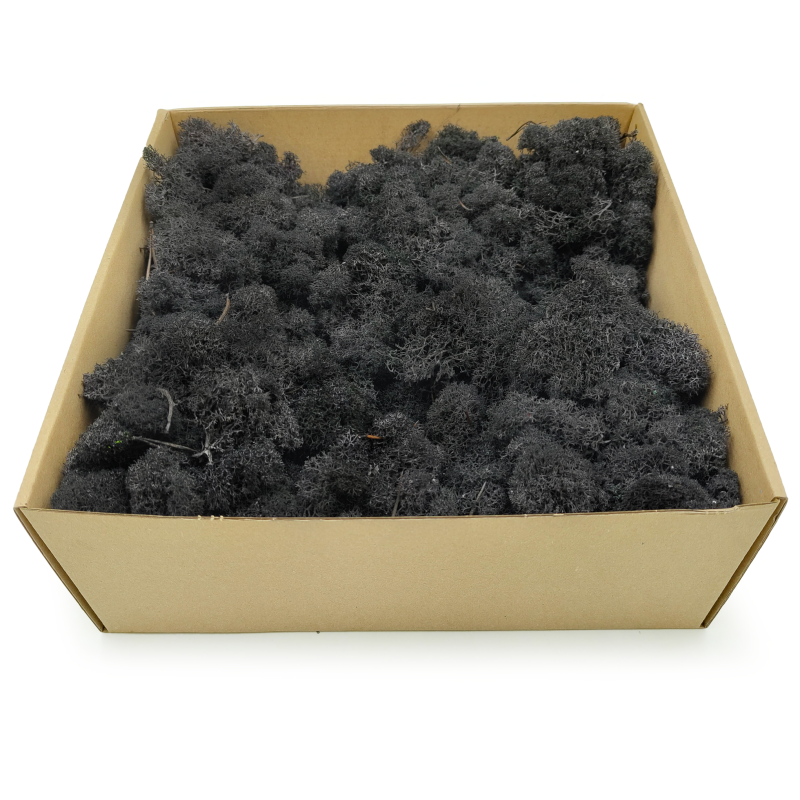 Czarny zblizenie 1.png