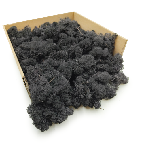Czarny okladka.png