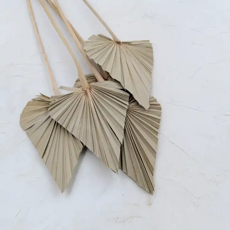 Palm spear Naturalny 1.png
