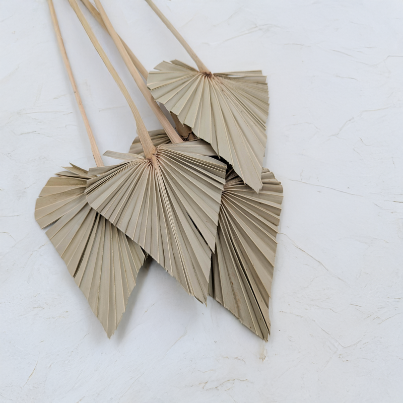 Palm spear Naturalny 1.png