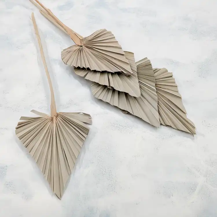Palm spear Naturalny 2.png