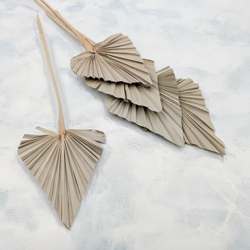 Palm spear Naturalny 2.png