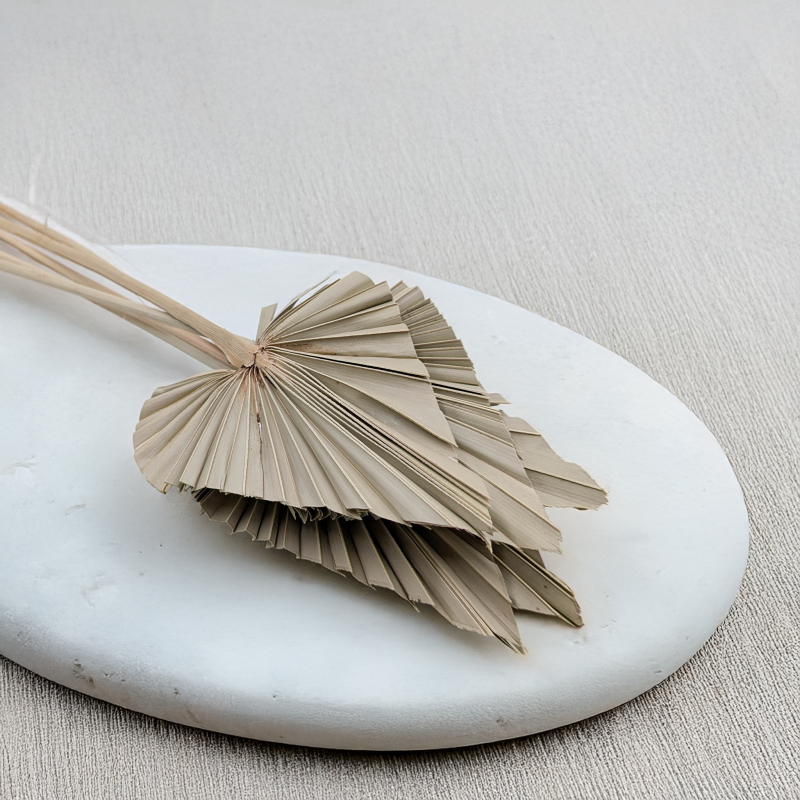 Palm spear Naturalny 3.png