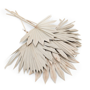 Palmsonne Getrocknete - (Palm Sun) - Natürlich