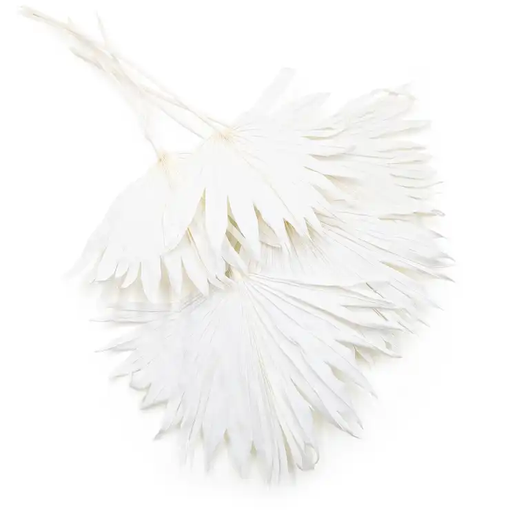 Palm Sun Bielony.png