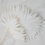 Palm sun bielony 1.png