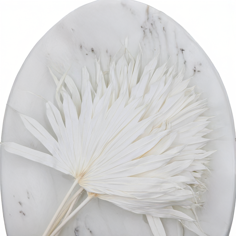 Palm sun bielony 2.png