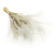 Stipa naturalna.png
