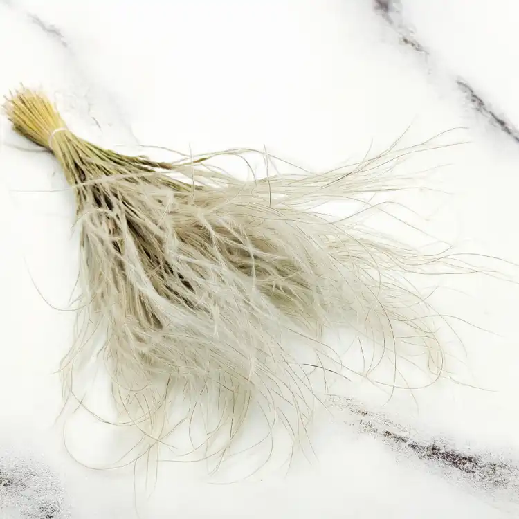 Stipa naturalna 1.png