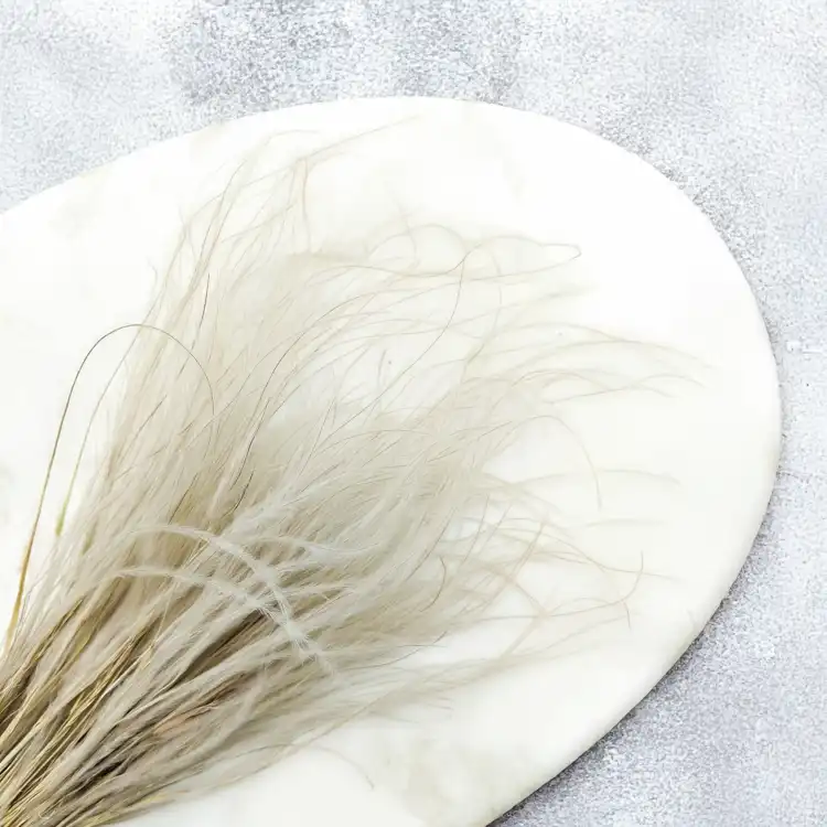 Stipa naturalna 2.png