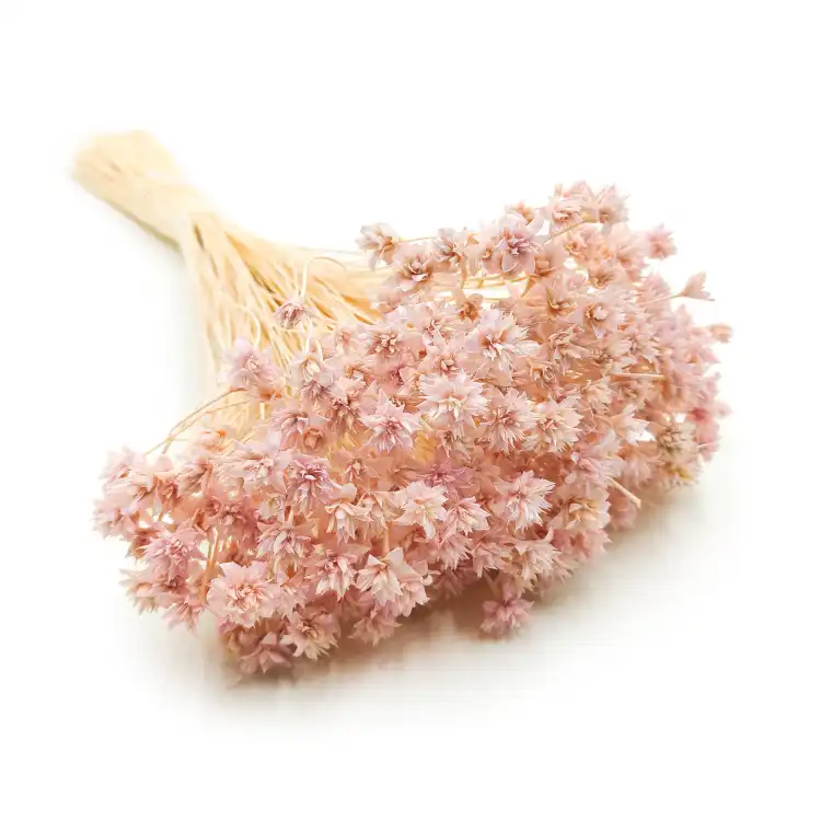 Hill Flower Lila 3.png