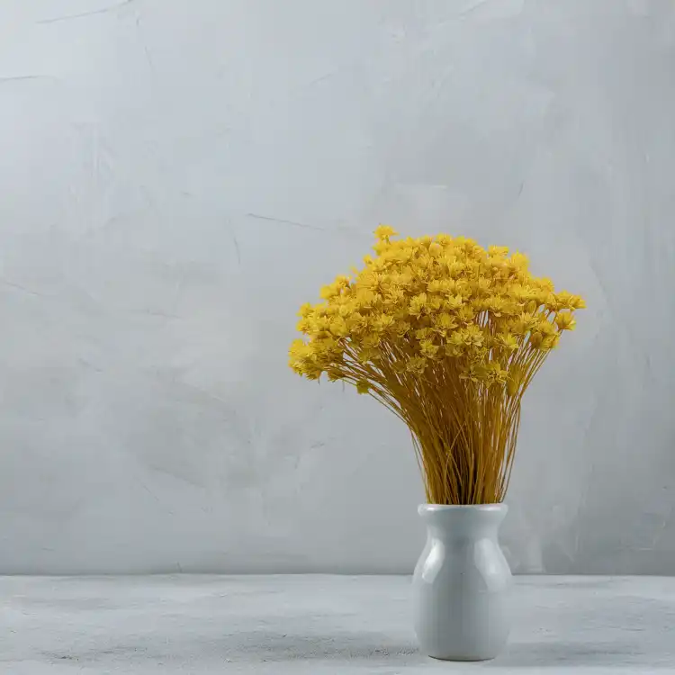 Hill Flower żółty 4.png
