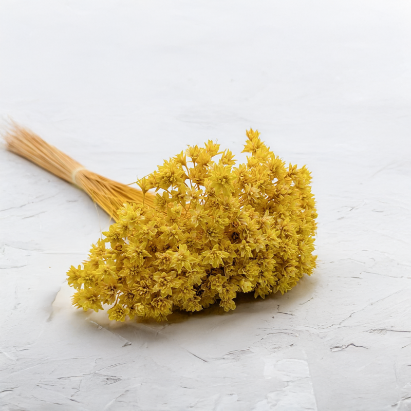 Hill Flower żółty.png