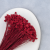 Hill Flower czerwony 2.png