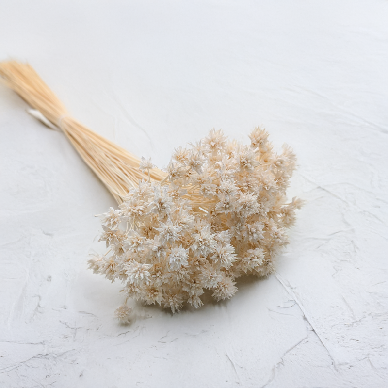 Hill Flower bielony.png