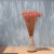Hill Flower różowy 3.png