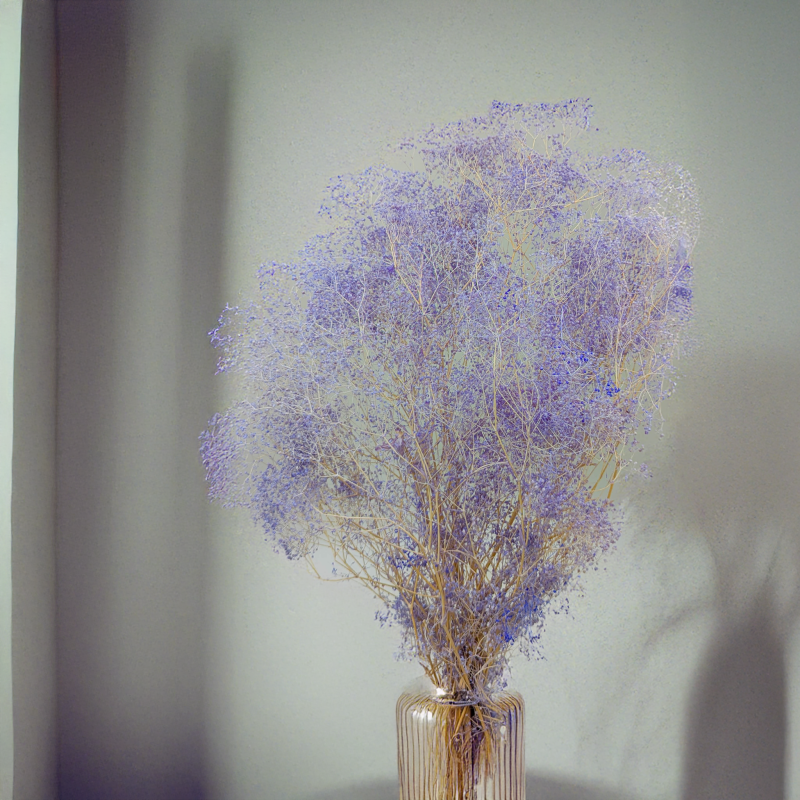 Gipsówka stabilizowana mini Lawenda 3.png