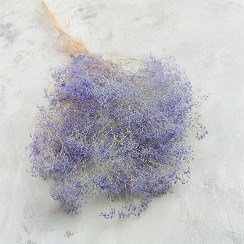 Gipsówka stabilizowana mini Lawenda.png