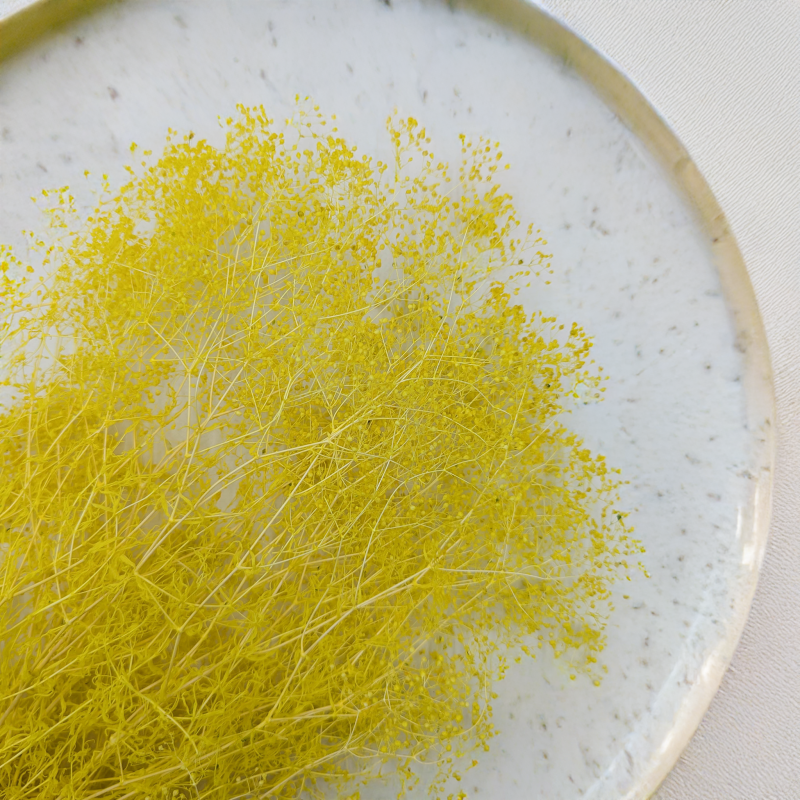 Gipsówka stabilizowana mini Żółta 2.png