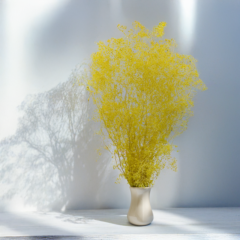 Gipsówka stabilizowana mini Żółta 3.png