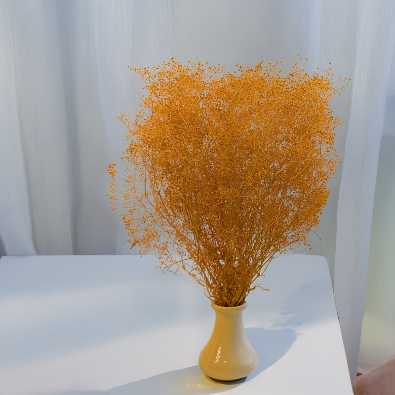 Gipsówka stabilizowana mini Ochra 3.png