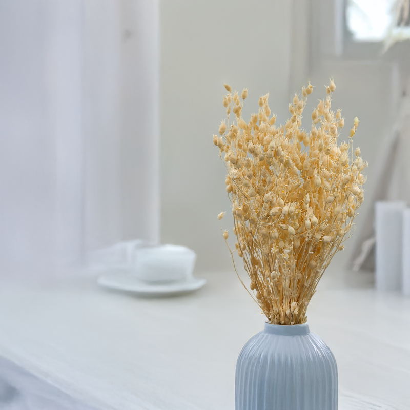 Silene Bielone 2.png