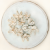 Wild Orange Bielone 10pcs 3.png