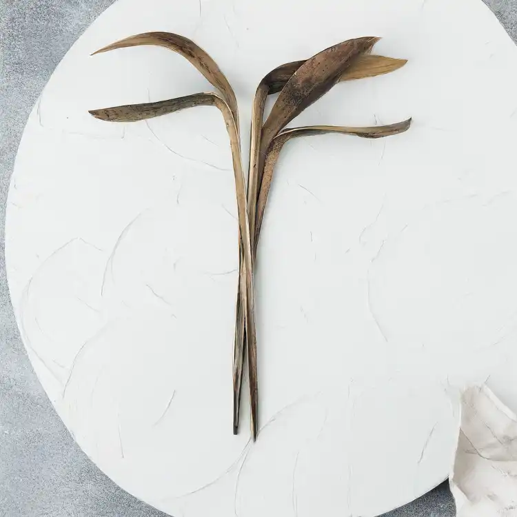 Shoe Horn Natural Dried 4.png