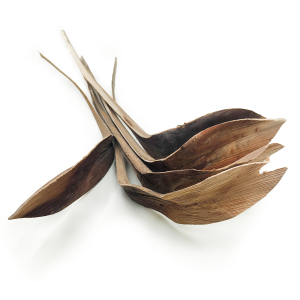 Shoe Horn – Natur – 5 Stück im Set