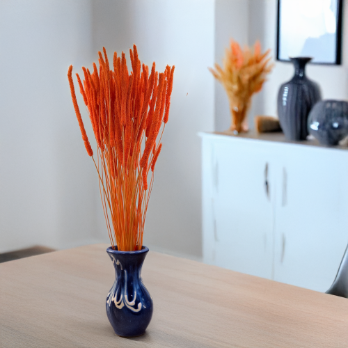 Tymotka - pomarańczowa 4.png