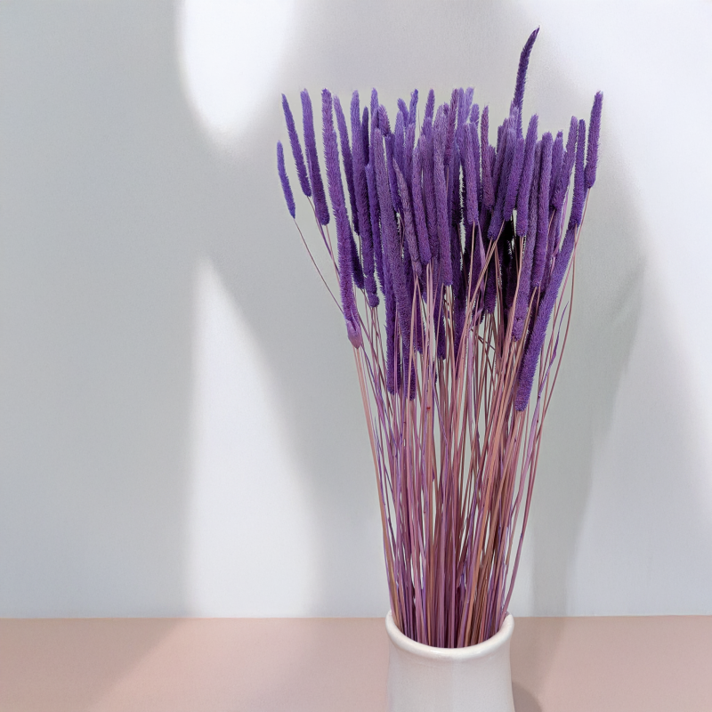 Tymotka - lila 3.png