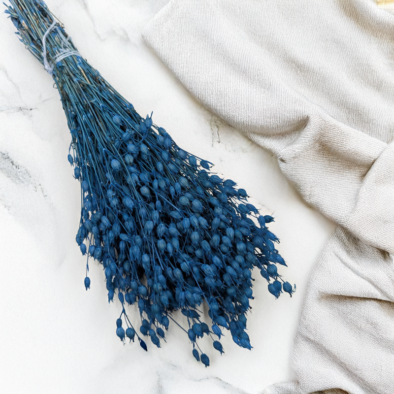 Silene niebieskie 1.png