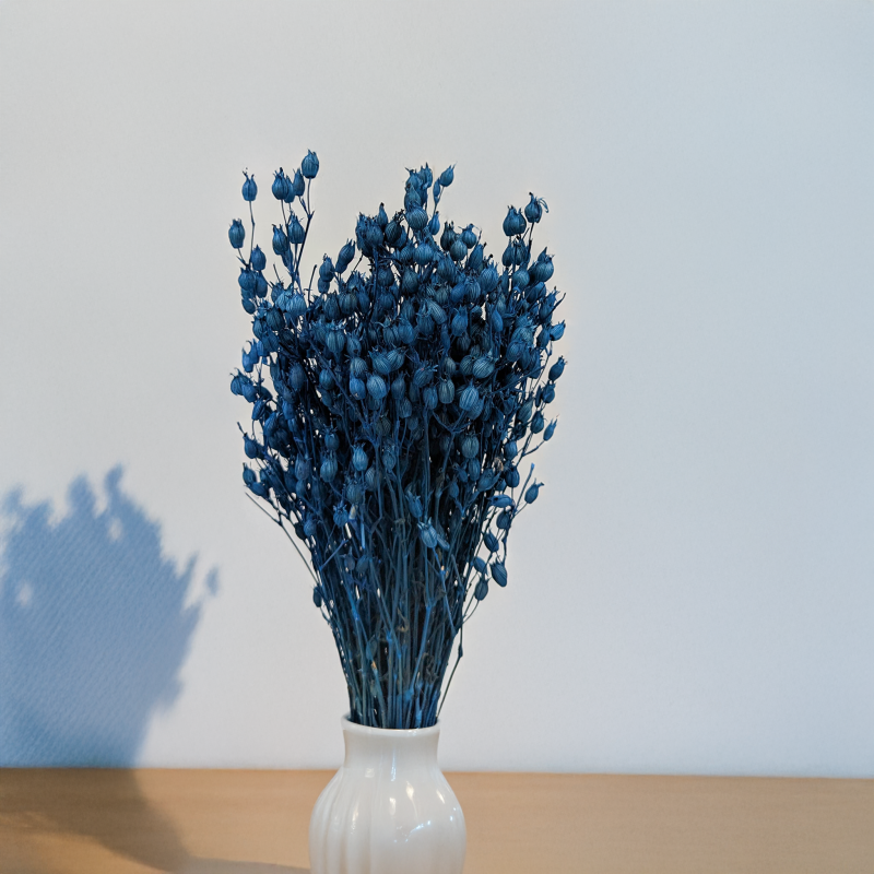 Silene niebieskie 4.png