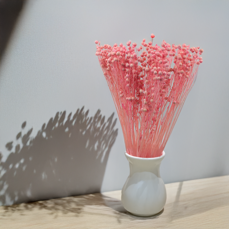 Len jasny róż 3.png