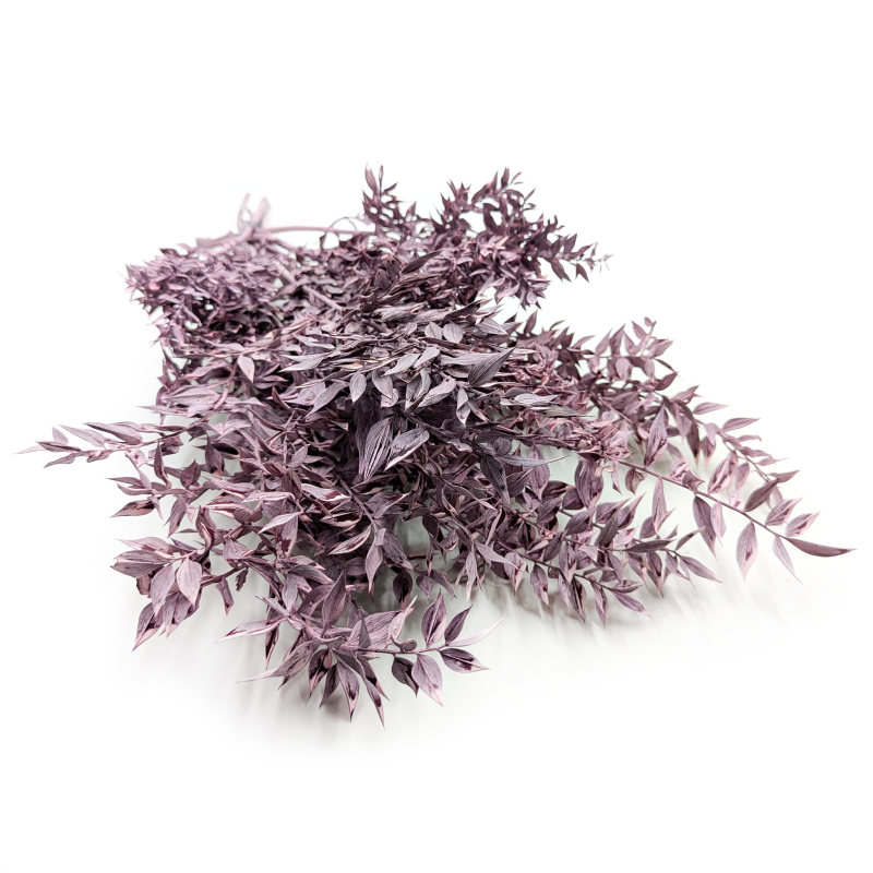Ruskus stabilizowany matowy fioletowy.png
