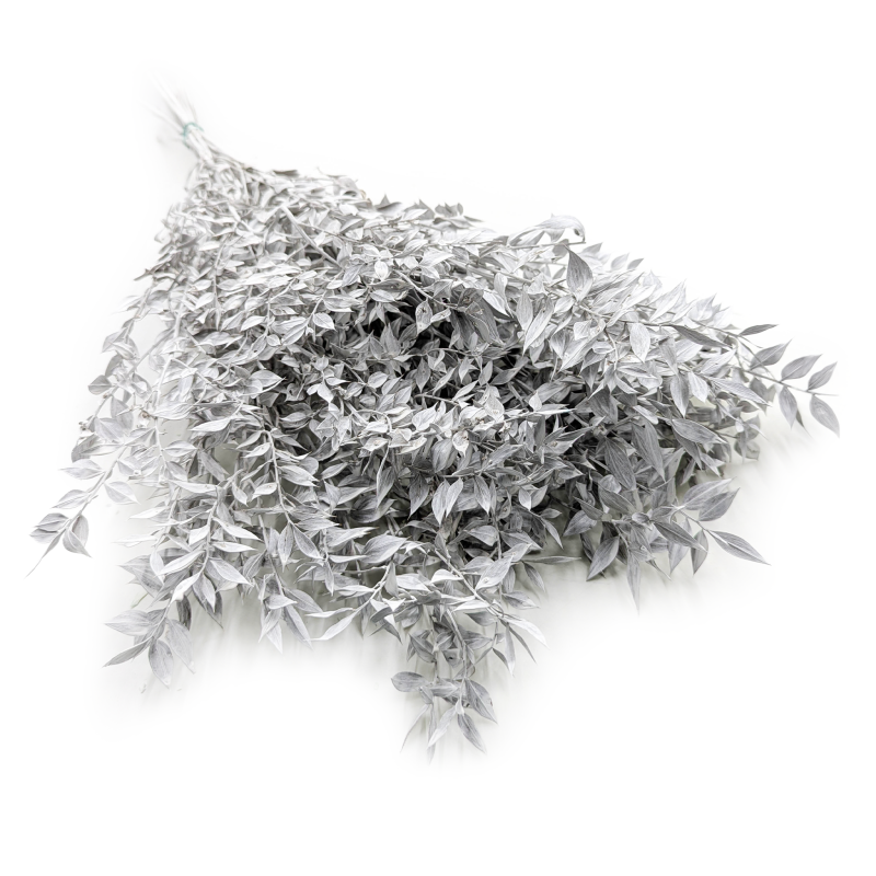 Ruskus Stabilizowany Matowy bielony.png