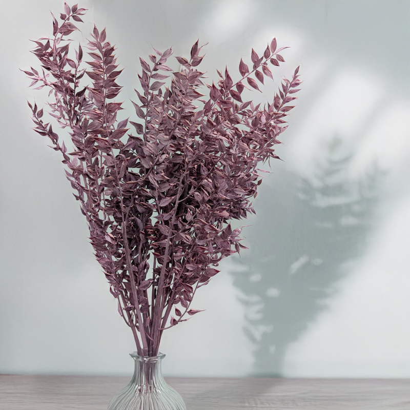 Ruskus bielony fioletowy 3.png