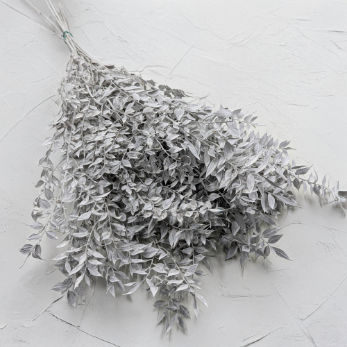 Ruskus bielony matowy.png