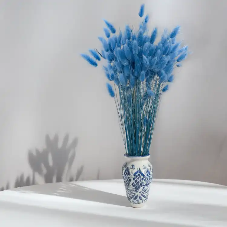 Lagurus Azzurro 3.png