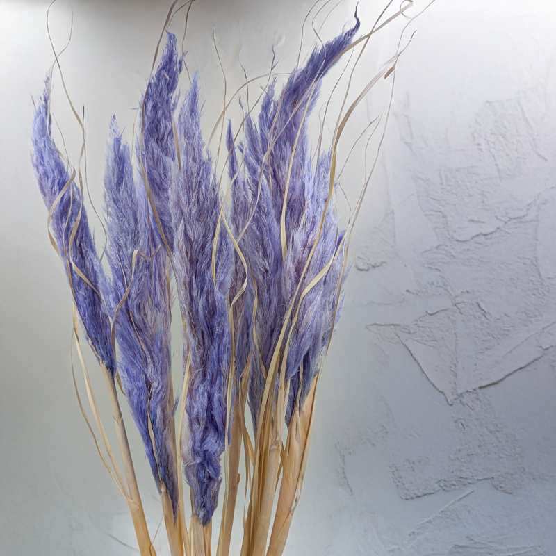 Mini pampas lawendowy 4.png