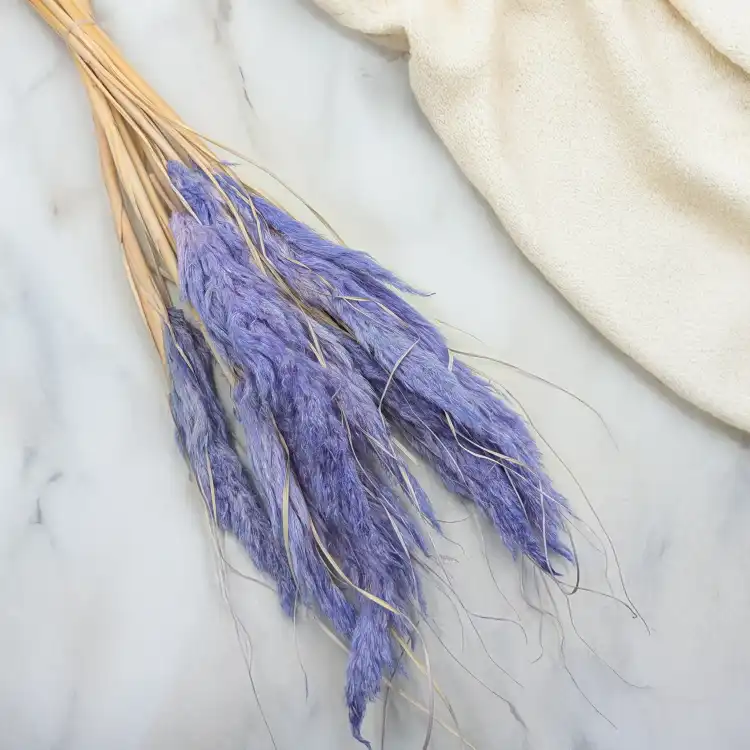 Mini pampas lawendowy 1.png