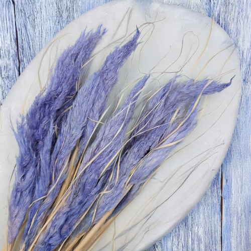 Mini pampas lawendowy 2.png