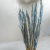 Mini pampas jasny niebieski 4.png
