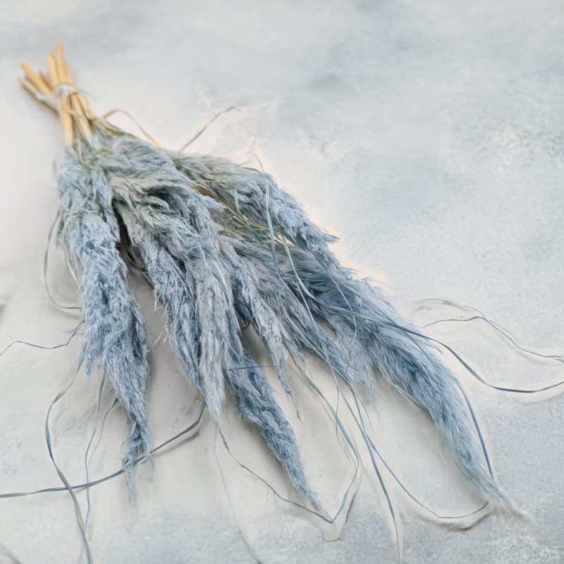 Mini pampas jasny niebieski.png