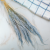 Mini pampas jasny niebieski 1.png