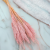 Mini pampas różowy perłowy 1.png