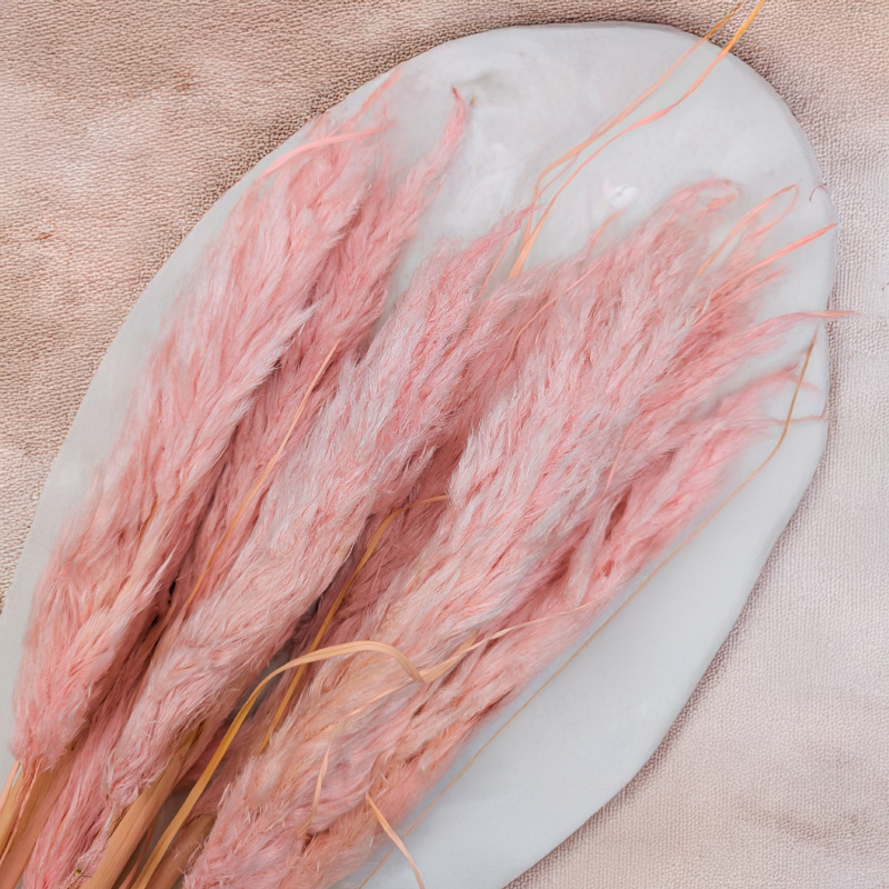 Mini pampas różowy perłowy 2.png