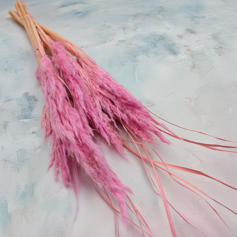 Mini pampas różowy.png