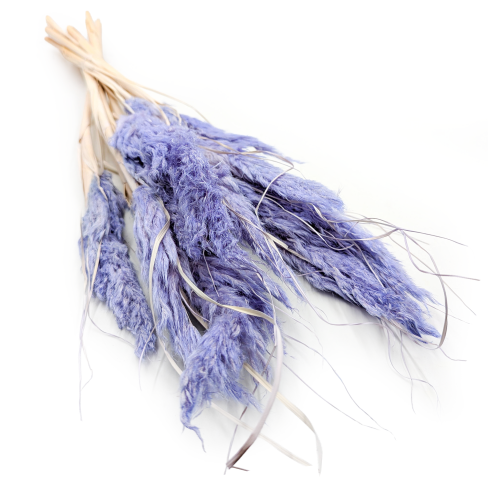 mini pampas lawendowy.png